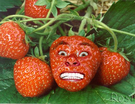 Erdbeerich